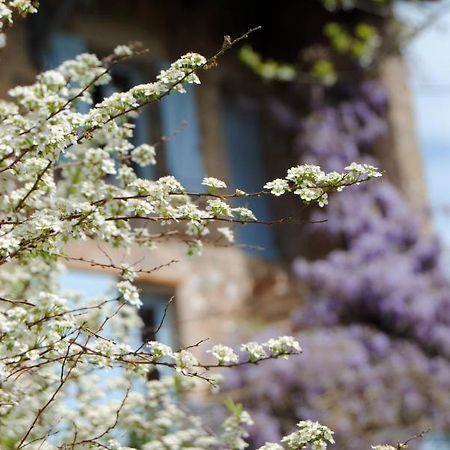 Chambre Privative Et Originale, A 20 Mn De Cluny Trivy 外观 照片