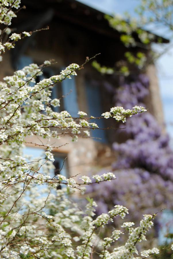 Chambre Privative Et Originale, A 20 Mn De Cluny Trivy 外观 照片