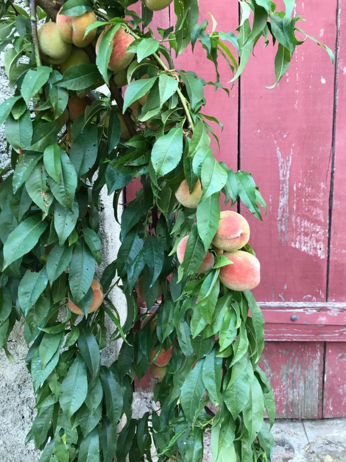 Chambre Privative Et Originale, A 20 Mn De Cluny Trivy 外观 照片